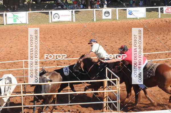 Buy your photos of the eventTEAM PENNING  GRANDE FINAL CAMARU on Fotop