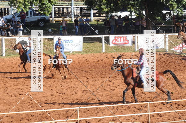 Buy your photos of the eventTEAM PENNING  GRANDE FINAL CAMARU on Fotop