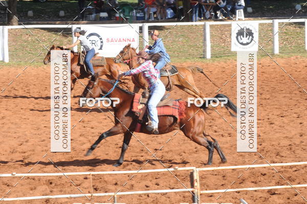 Buy your photos of the eventTEAM PENNING  GRANDE FINAL CAMARU on Fotop