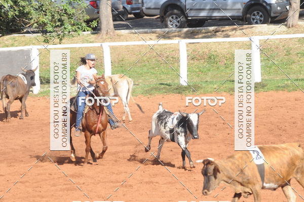 Buy your photos of the eventTEAM PENNING  GRANDE FINAL CAMARU on Fotop