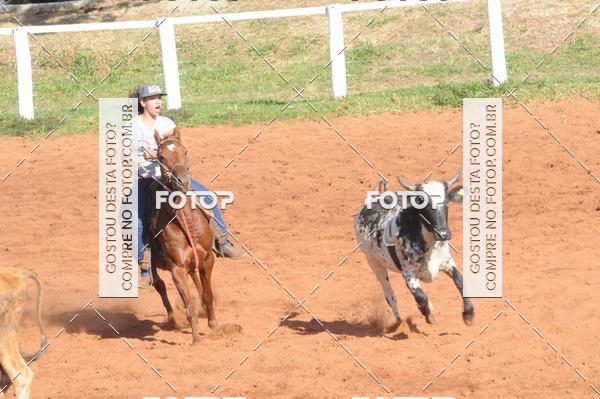 Buy your photos of the eventTEAM PENNING  GRANDE FINAL CAMARU on Fotop