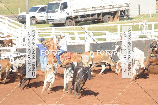 Buy your photos of the eventTEAM PENNING  GRANDE FINAL CAMARU on Fotop