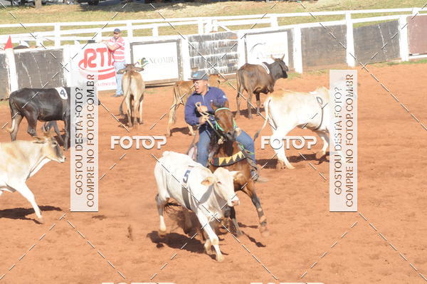 Buy your photos of the eventTEAM PENNING  GRANDE FINAL CAMARU on Fotop
