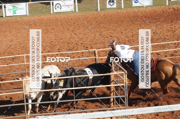 Buy your photos of the eventTEAM PENNING  GRANDE FINAL CAMARU on Fotop