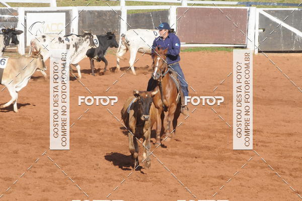 Buy your photos of the eventTEAM PENNING  GRANDE FINAL CAMARU on Fotop