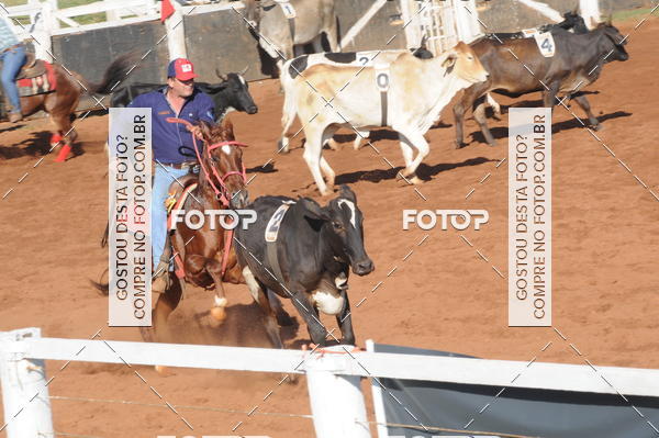 Buy your photos of the eventTEAM PENNING  GRANDE FINAL CAMARU on Fotop
