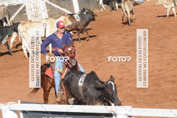 Buy your photos of the eventTEAM PENNING  GRANDE FINAL CAMARU on Fotop