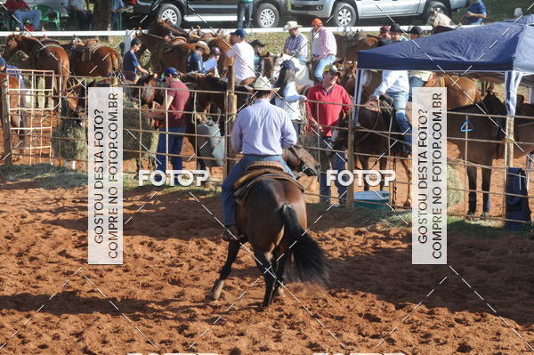 Buy your photos of the eventTEAM PENNING  GRANDE FINAL CAMARU on Fotop