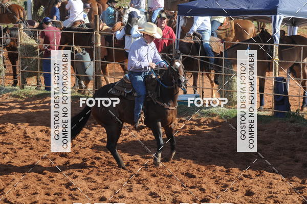 Buy your photos of the eventTEAM PENNING  GRANDE FINAL CAMARU on Fotop