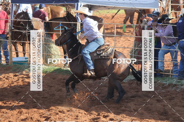 Buy your photos of the eventTEAM PENNING  GRANDE FINAL CAMARU on Fotop