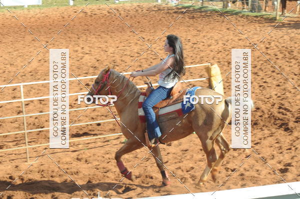 Buy your photos of the eventTEAM PENNING  GRANDE FINAL CAMARU on Fotop