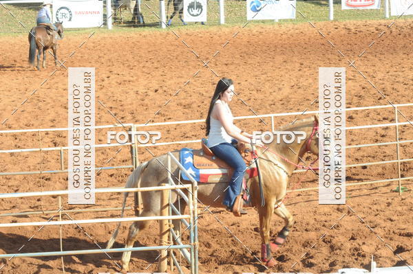Buy your photos of the eventTEAM PENNING  GRANDE FINAL CAMARU on Fotop