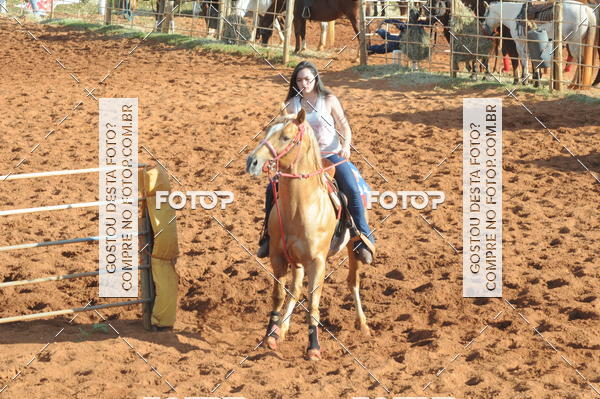 Buy your photos of the eventTEAM PENNING  GRANDE FINAL CAMARU on Fotop