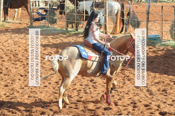 Buy your photos of the eventTEAM PENNING  GRANDE FINAL CAMARU on Fotop