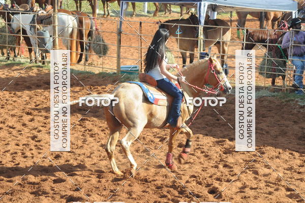 Buy your photos of the eventTEAM PENNING  GRANDE FINAL CAMARU on Fotop
