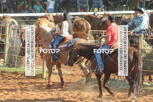 Buy your photos of the eventTEAM PENNING  GRANDE FINAL CAMARU on Fotop