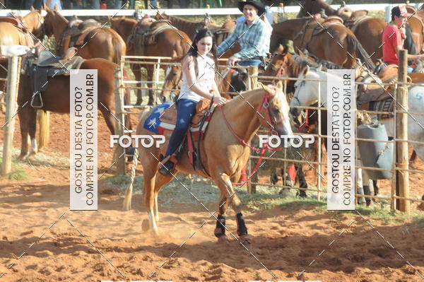 Buy your photos of the eventTEAM PENNING  GRANDE FINAL CAMARU on Fotop