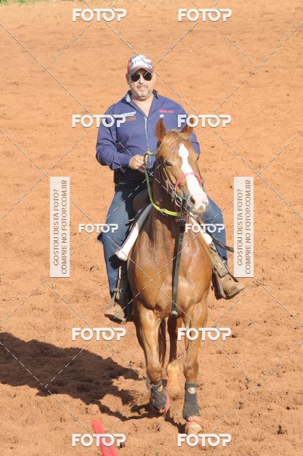Buy your photos of the eventTEAM PENNING  GRANDE FINAL CAMARU on Fotop