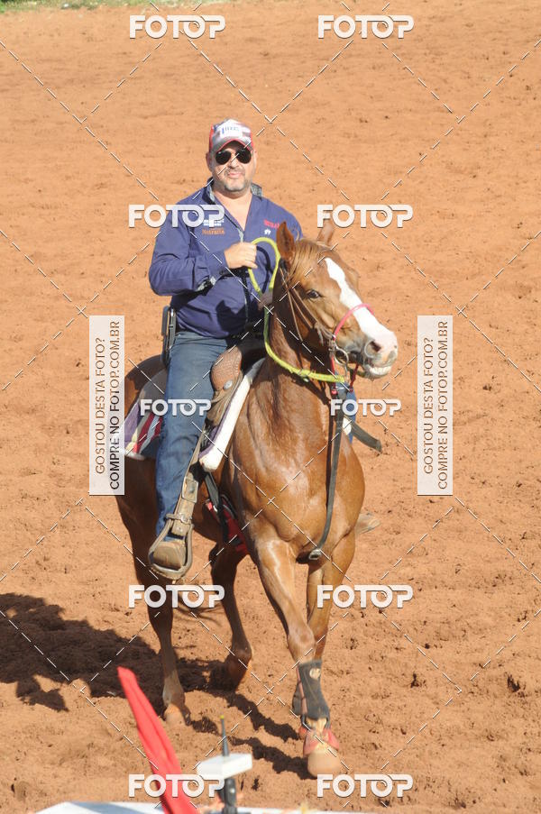 Buy your photos of the eventTEAM PENNING  GRANDE FINAL CAMARU on Fotop