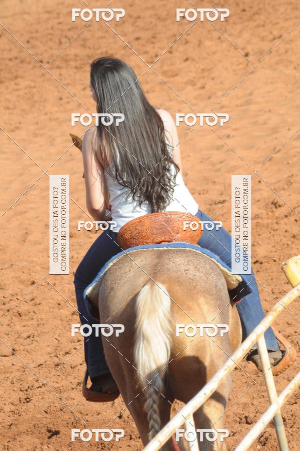 Buy your photos of the eventTEAM PENNING  GRANDE FINAL CAMARU on Fotop