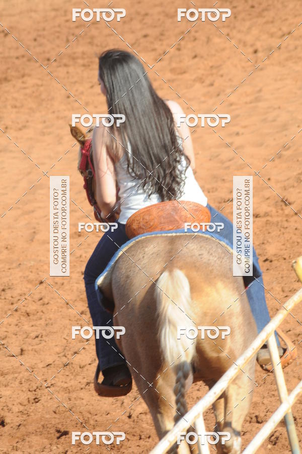 Buy your photos of the eventTEAM PENNING  GRANDE FINAL CAMARU on Fotop