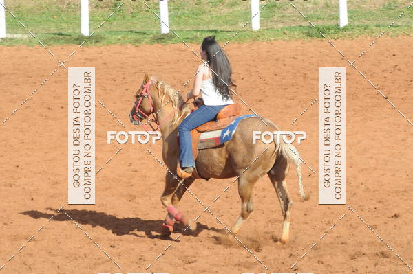 Buy your photos of the eventTEAM PENNING  GRANDE FINAL CAMARU on Fotop