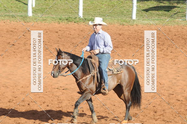 Buy your photos of the eventTEAM PENNING  GRANDE FINAL CAMARU on Fotop