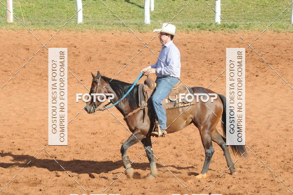 Buy your photos of the eventTEAM PENNING  GRANDE FINAL CAMARU on Fotop