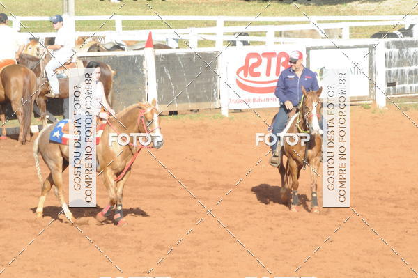 Buy your photos of the eventTEAM PENNING  GRANDE FINAL CAMARU on Fotop