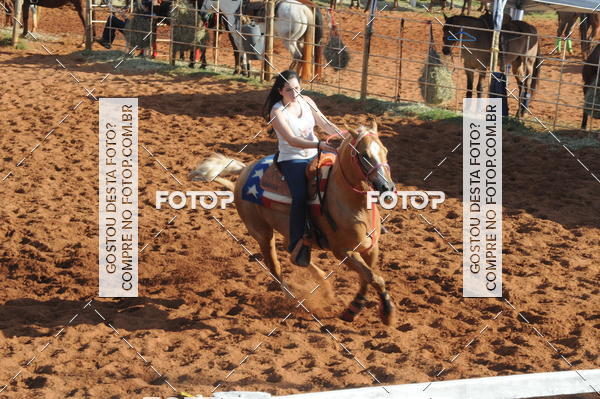 Buy your photos of the eventTEAM PENNING  GRANDE FINAL CAMARU on Fotop