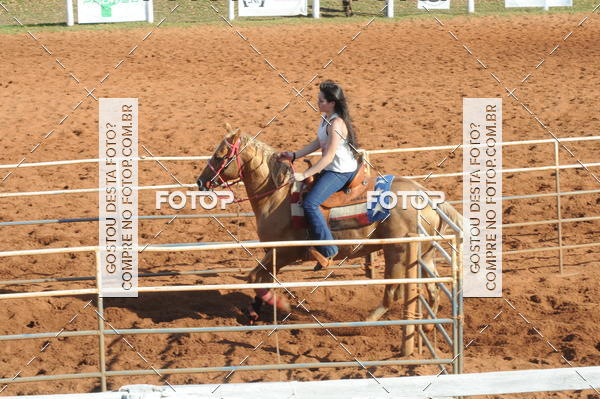 Buy your photos of the eventTEAM PENNING  GRANDE FINAL CAMARU on Fotop
