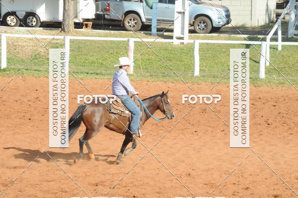 Buy your photos of the eventTEAM PENNING  GRANDE FINAL CAMARU on Fotop