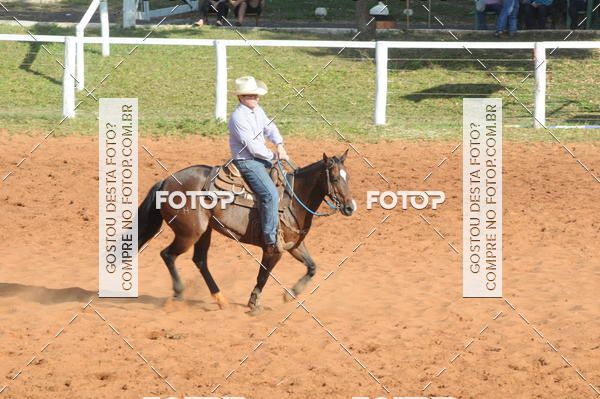 Buy your photos of the eventTEAM PENNING  GRANDE FINAL CAMARU on Fotop