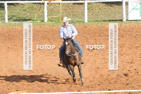 Buy your photos of the eventTEAM PENNING  GRANDE FINAL CAMARU on Fotop