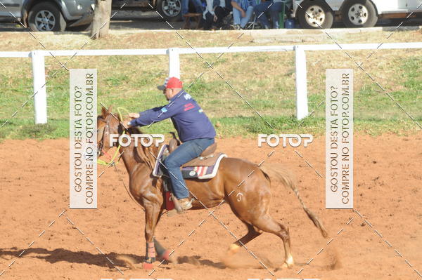 Buy your photos of the eventTEAM PENNING  GRANDE FINAL CAMARU on Fotop