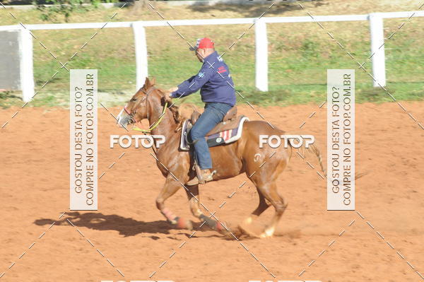 Buy your photos of the eventTEAM PENNING  GRANDE FINAL CAMARU on Fotop