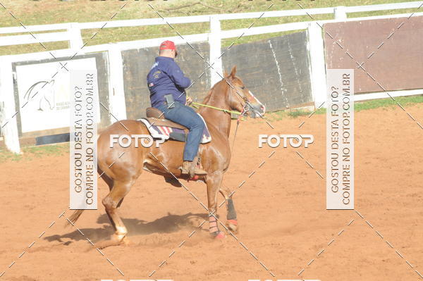 Buy your photos of the eventTEAM PENNING  GRANDE FINAL CAMARU on Fotop