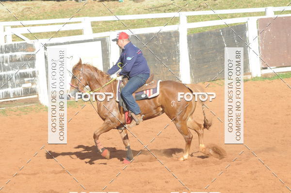 Buy your photos of the eventTEAM PENNING  GRANDE FINAL CAMARU on Fotop