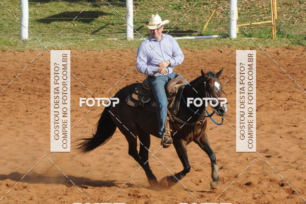 Buy your photos of the eventTEAM PENNING  GRANDE FINAL CAMARU on Fotop