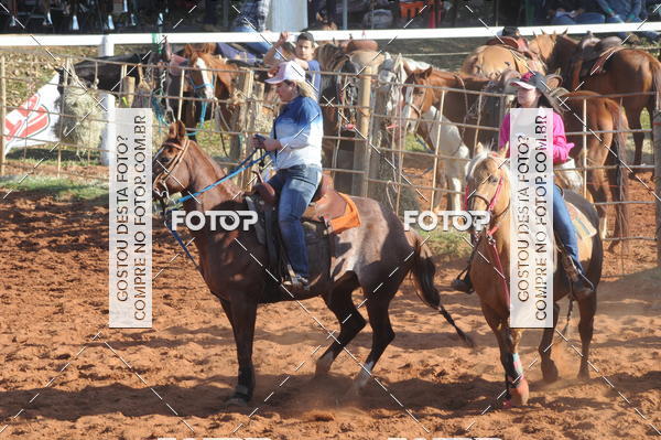 Buy your photos of the eventTEAM PENNING  GRANDE FINAL CAMARU on Fotop