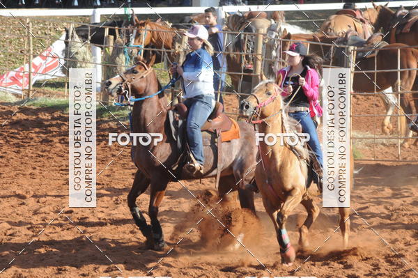 Buy your photos of the eventTEAM PENNING  GRANDE FINAL CAMARU on Fotop
