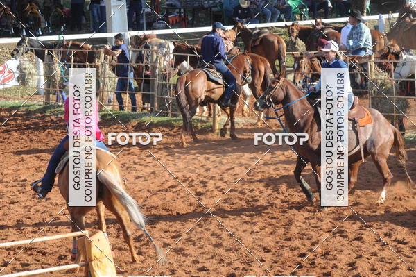 Buy your photos of the eventTEAM PENNING  GRANDE FINAL CAMARU on Fotop