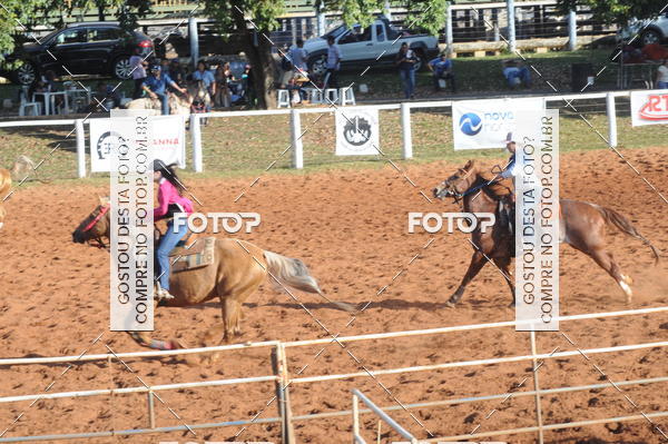 Buy your photos of the eventTEAM PENNING  GRANDE FINAL CAMARU on Fotop