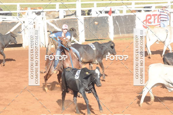 Buy your photos of the eventTEAM PENNING  GRANDE FINAL CAMARU on Fotop