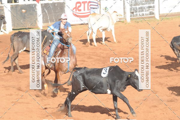 Buy your photos of the eventTEAM PENNING  GRANDE FINAL CAMARU on Fotop