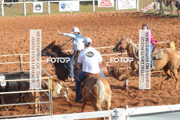Buy your photos of the eventTEAM PENNING  GRANDE FINAL CAMARU on Fotop