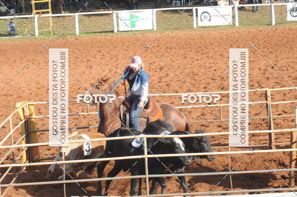 Buy your photos of the eventTEAM PENNING  GRANDE FINAL CAMARU on Fotop