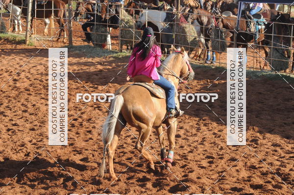 Buy your photos of the eventTEAM PENNING  GRANDE FINAL CAMARU on Fotop