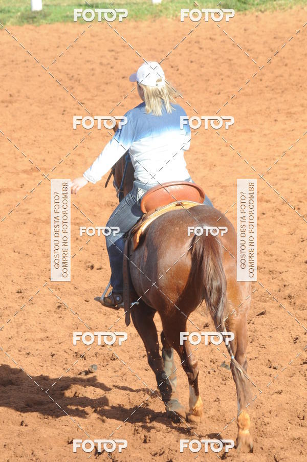 Buy your photos of the eventTEAM PENNING  GRANDE FINAL CAMARU on Fotop