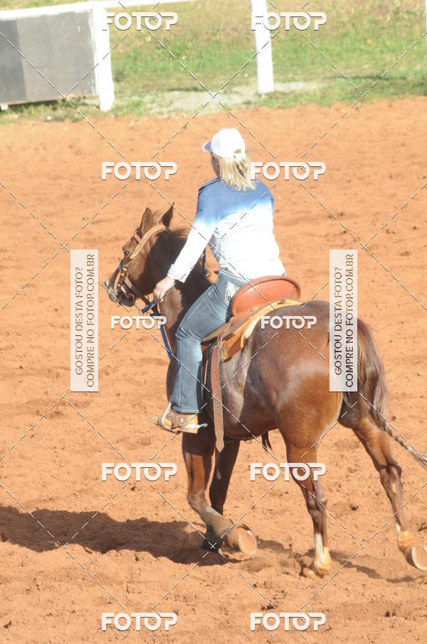 Buy your photos of the eventTEAM PENNING  GRANDE FINAL CAMARU on Fotop